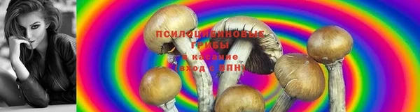 кристаллы Богданович