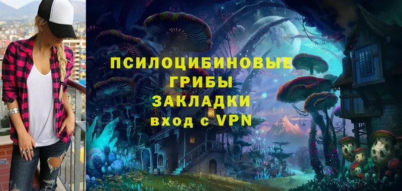 shop телеграм  Майский  Псилоцибиновые грибы Cubensis 